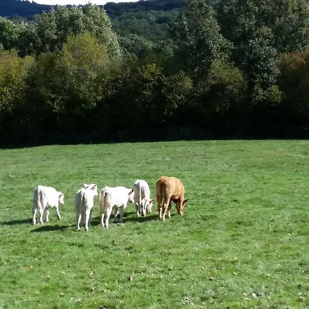 Loboratorio Rural-la Sonrisa Del Aire Hétvégi ház Casas del Abad